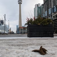 Image 2 of Spadina and Front x CN Tower and SkyDome