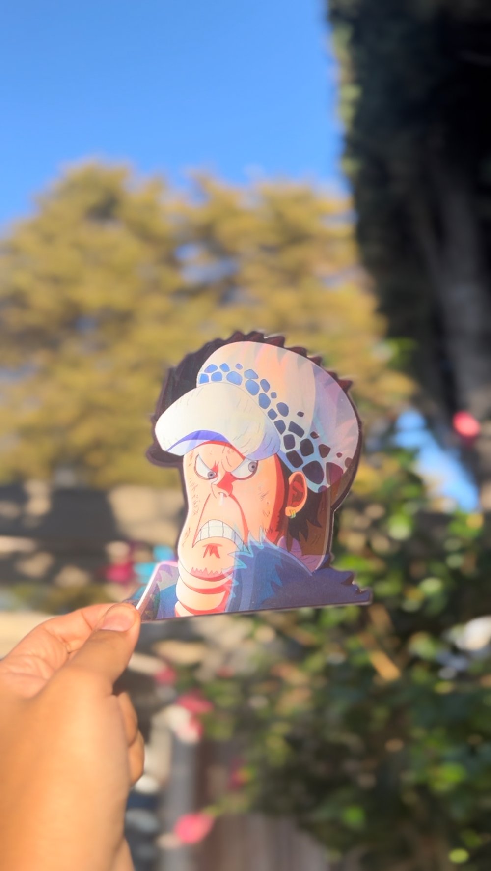 Funny One piece stickers