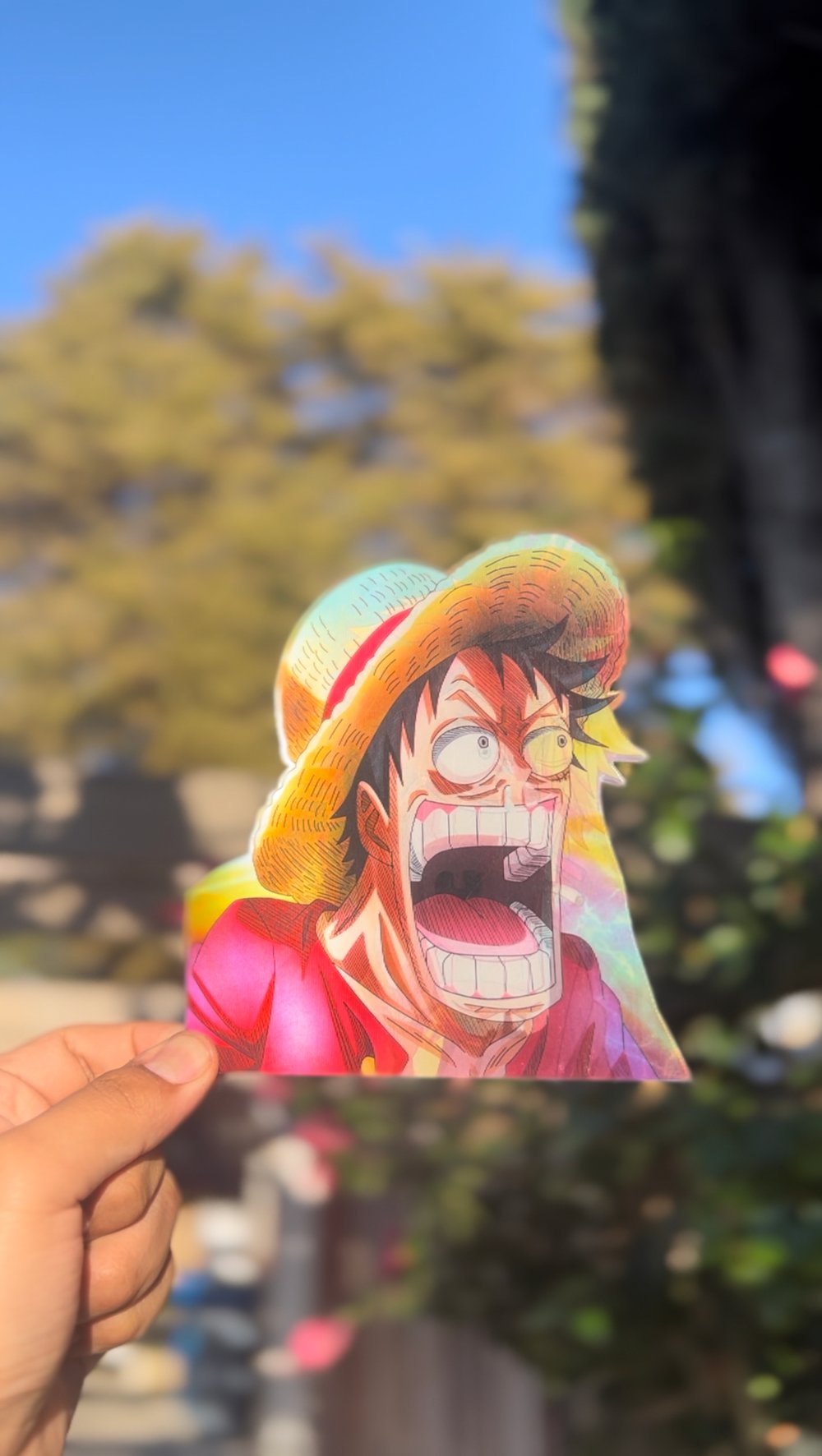 Funny One piece stickers