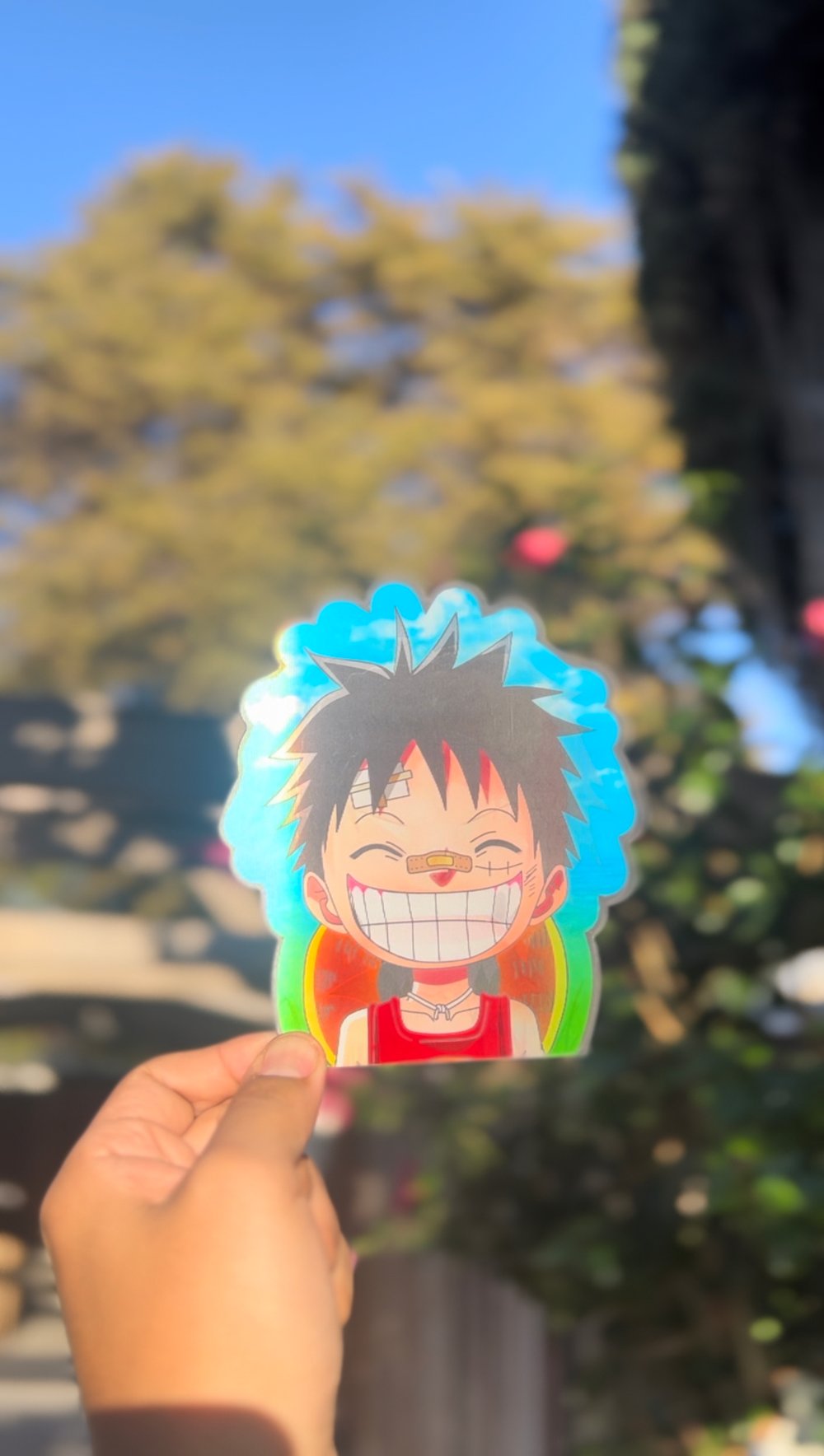 Funny One piece stickers