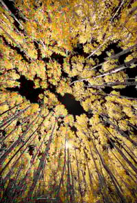 Image 1 of Autumn Colors