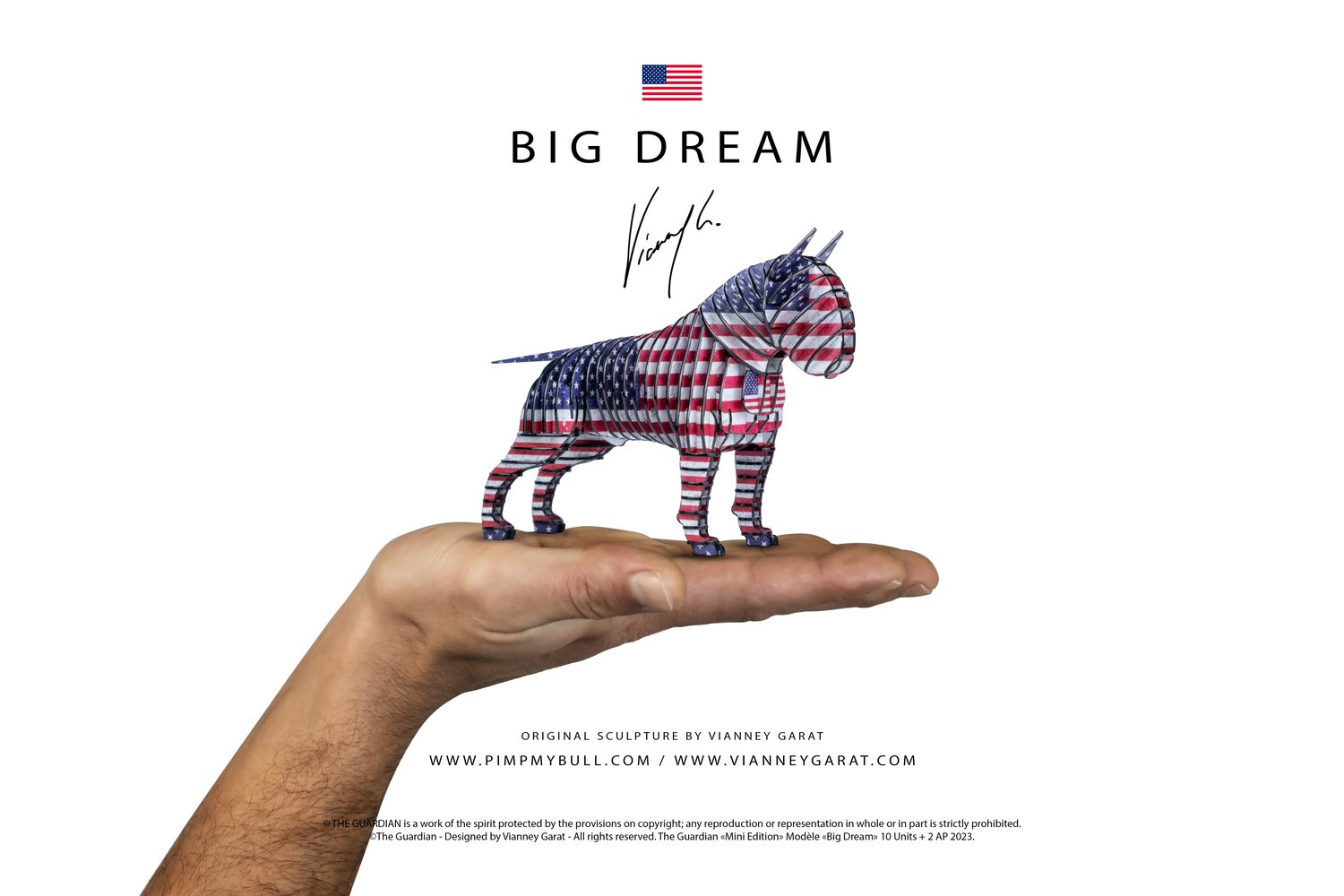 Image of The Guardian® Big Dream - Mini Edition