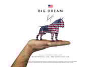 Image 2 of The Guardian® Big Dream - Mini Edition