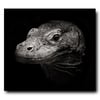 Le Dragon de Komodo, 27 x 30 cm, 1/9.