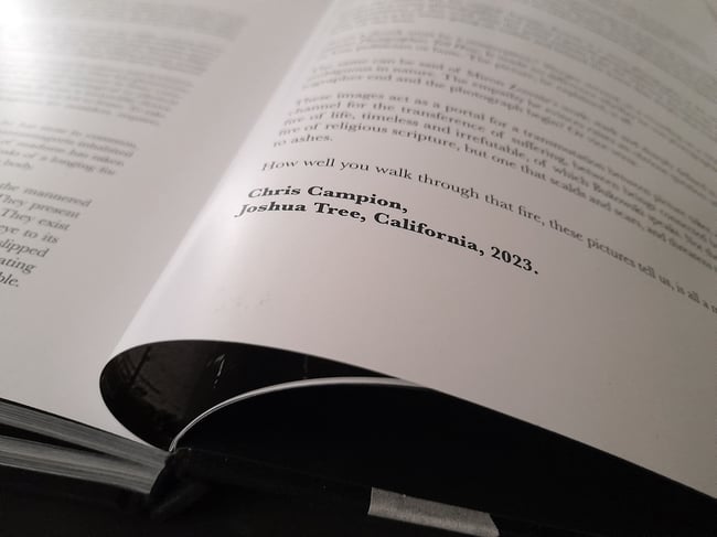 Walk Through The Fire - Miron Zownir.