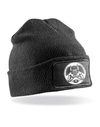 Image 1 of Beanies