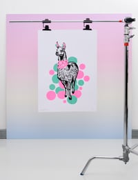 Image of Pom Pom Lama Screenprint