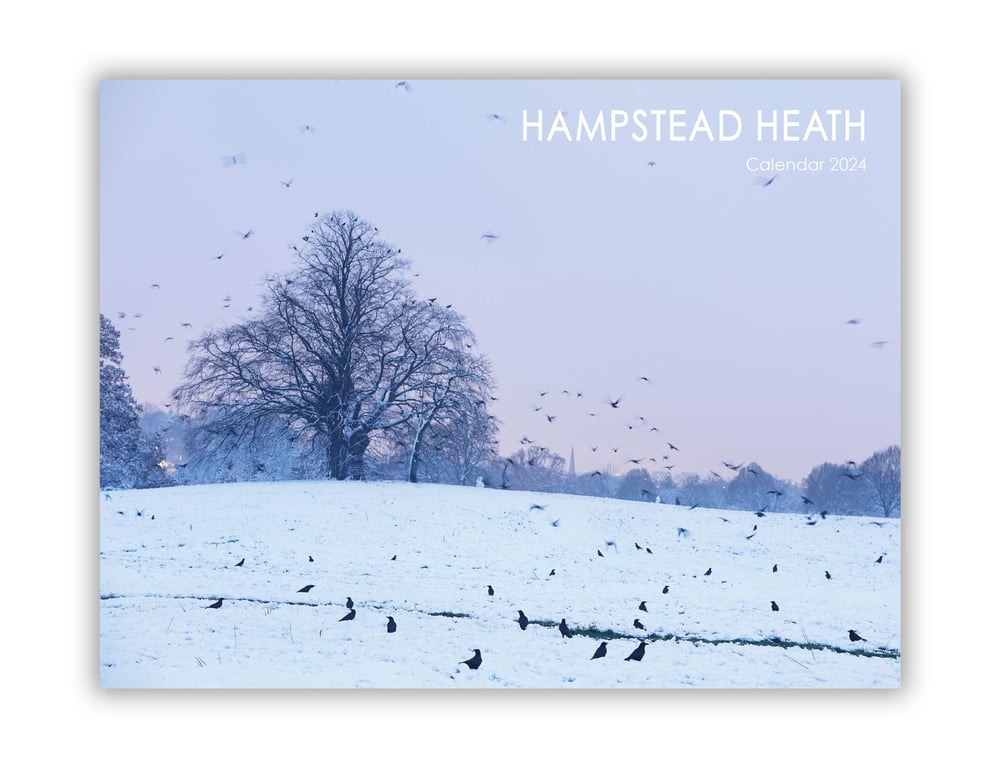 Image of 2024 Hampstead Heath Calendar
