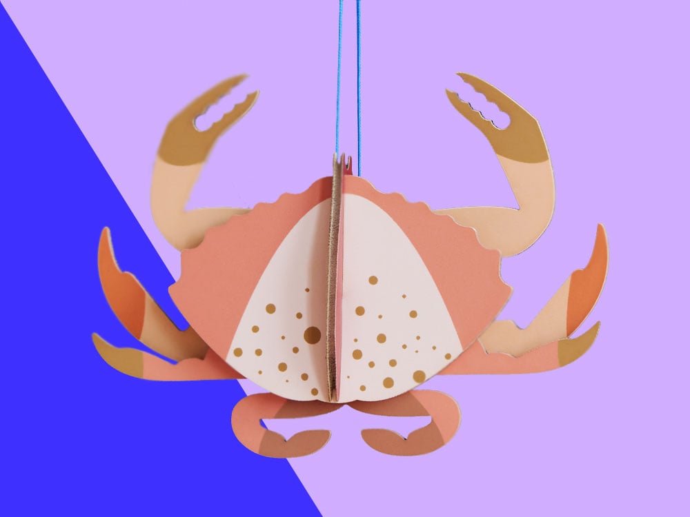 Image of ORNAMENT Crab