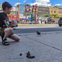 Image 2 of Pigeon x Chinatown