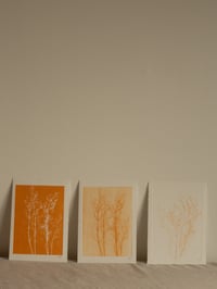 Image 5 of Grass Monoprint 2 - Botanical Art - A5 - Orange
