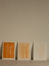 Grass Monoprint 3 - Botanical Art - A5 - Orange