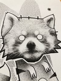 Image 2 of >Racoon