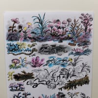 Image 3 of Dans le jardin