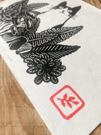 Image 3 of Curious cat