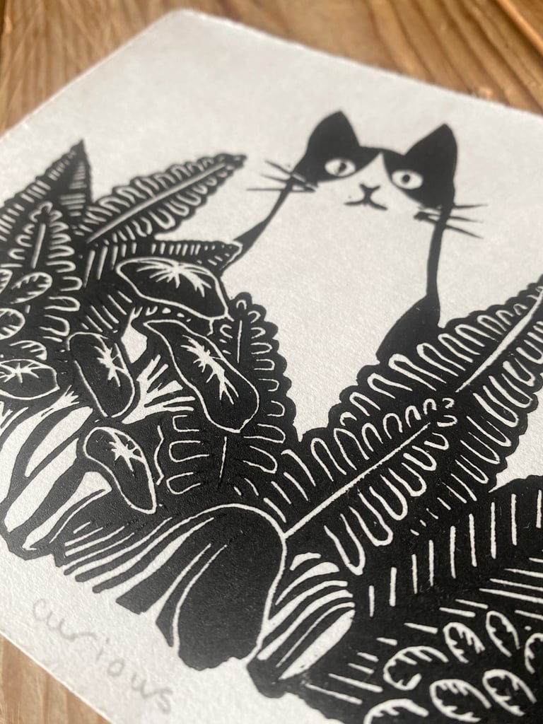 Curious cat Image 3