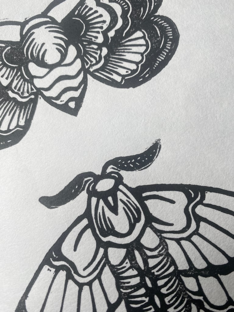 Three Moths Image 3