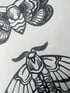 Three Moths Image 3