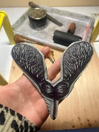 Image 4 of Sycamore seed