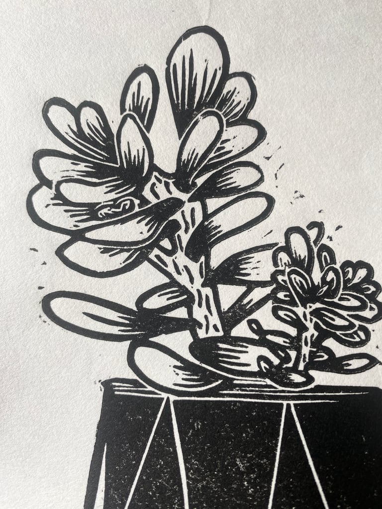 Money plant Image 4