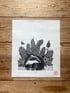 Mr Badger Image 2