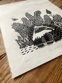 Image 3 of Mr Badger