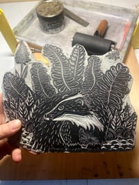 Image 4 of Mr Badger