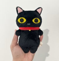 Chico the Cat