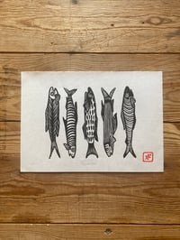 Image 1 of Sardines