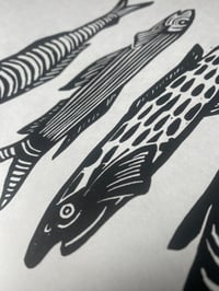 Image 3 of Sardines