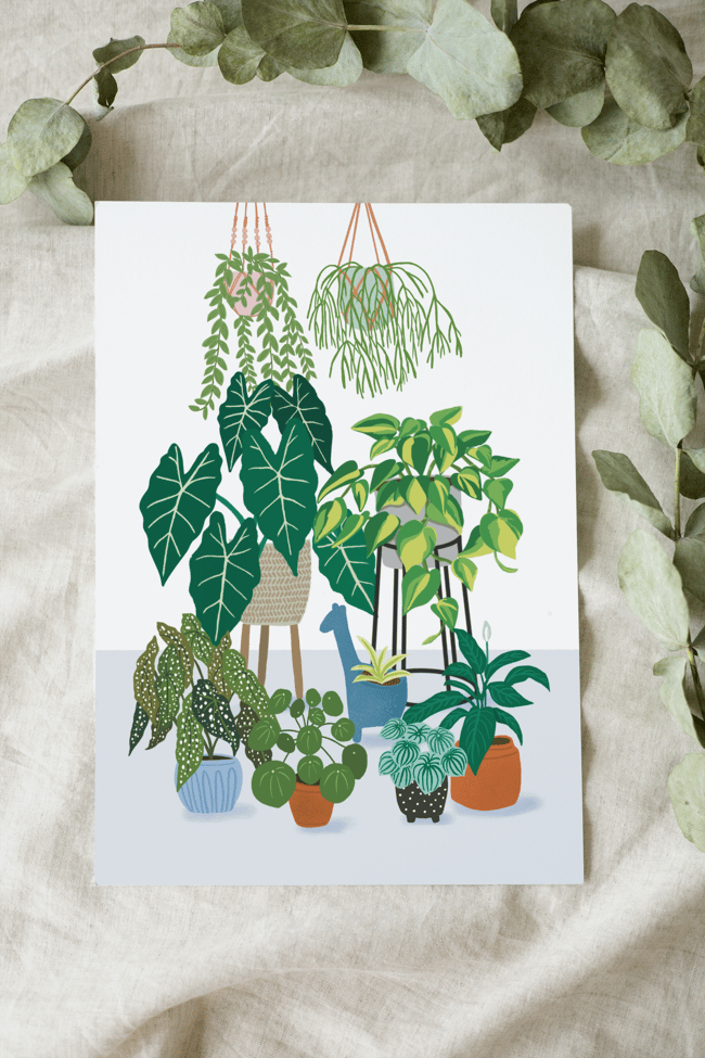 Houseplants