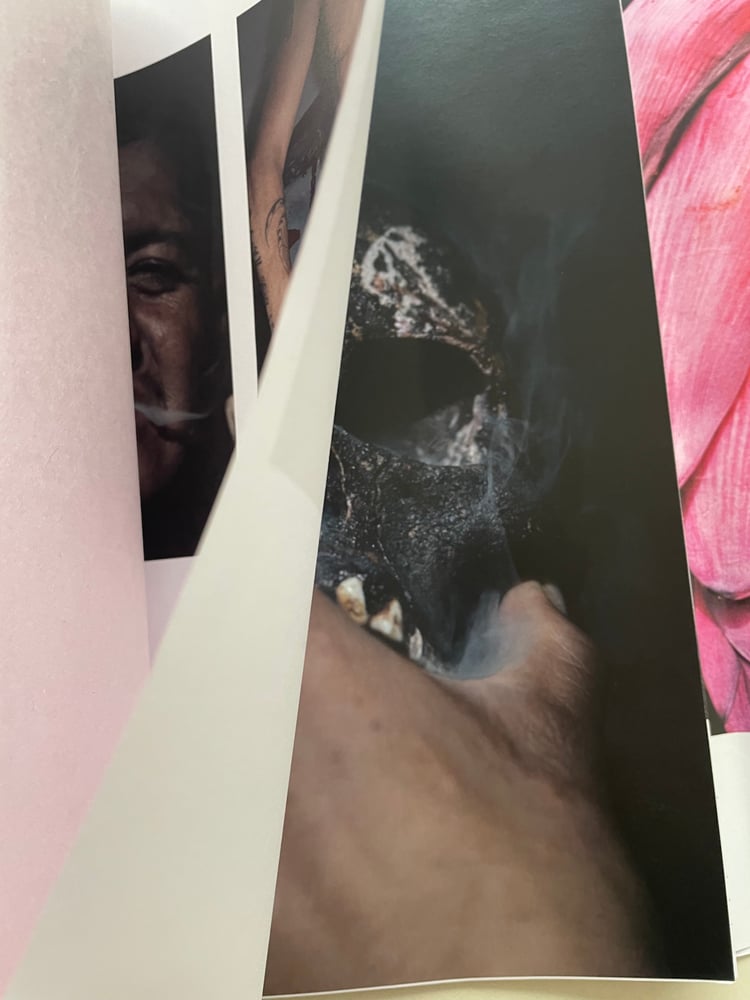 Image of Koleszár Adél - Notes