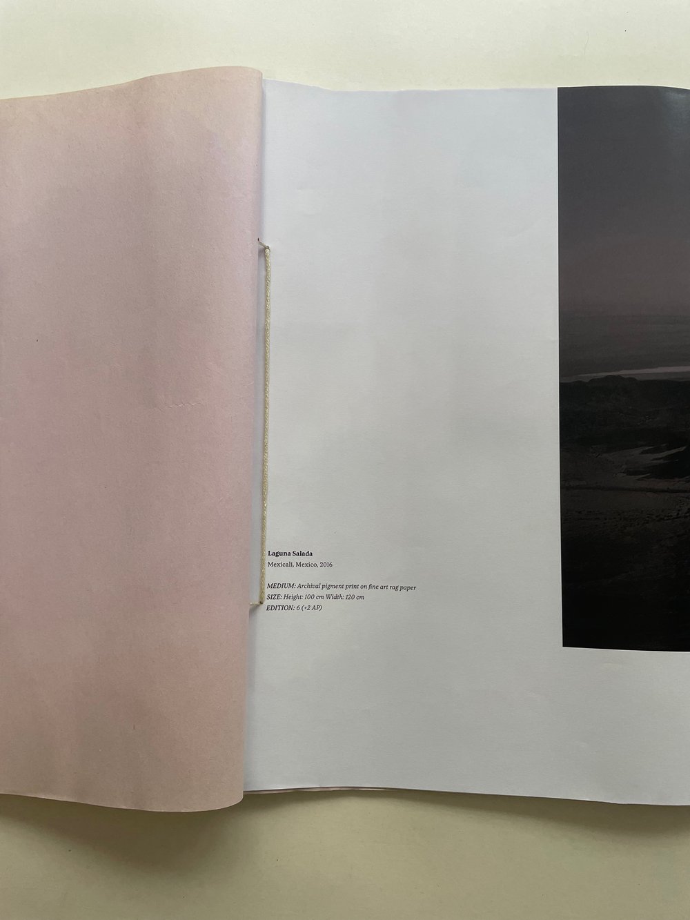 Image of Koleszár Adél - Notes