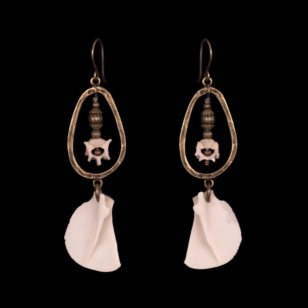 Image of "Dovima" Kitten Bone Earrings