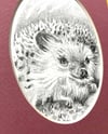 Erinaceinae – Hedgehog graphite pencil drawing