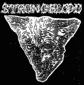 Image of Strongblood - The Beaten Paths Of Youth LP