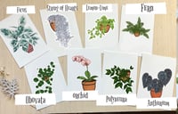 Plant Print collection 