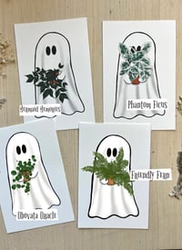 Image 2 of Ghost Plant Print collection