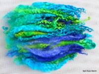 Image 3 of Mermaids BFL Long Locks Hand Selected 1.5 ounces