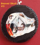Image 1 of Minnie Animal Skull Paintings 