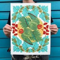 Image 1 of New Edition: In Loving Memory of the Carolina Parakeet