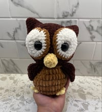 Image 2 of Ollie The Owl