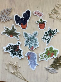Image 1 of Plant Stickers