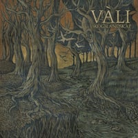 Image 1 of Vàli - Skogslandskap Vinyl Gatefold LP | Dark Green