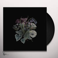 Image 2 of Nhor - Wildflowers Vinyl 2-LP Gatefold | Black