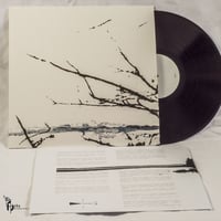 Image 2 of Tenhi - Väre Vinyl LP | Black