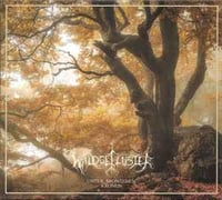 Waldgeflüster ‎ "Unter Bronzenen Kronen" LP