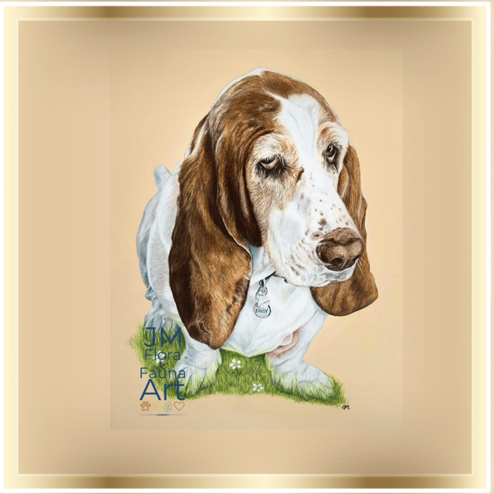 Image of Canine