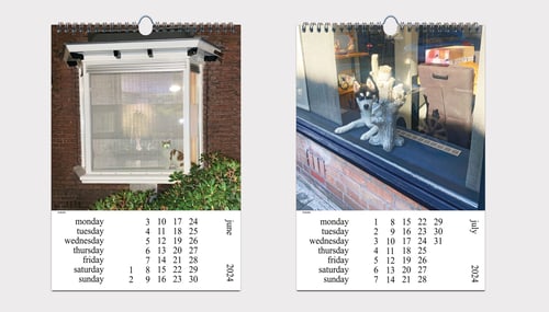 Image of  'Cats and Dogs in the Window' • 2024 CALENDAR