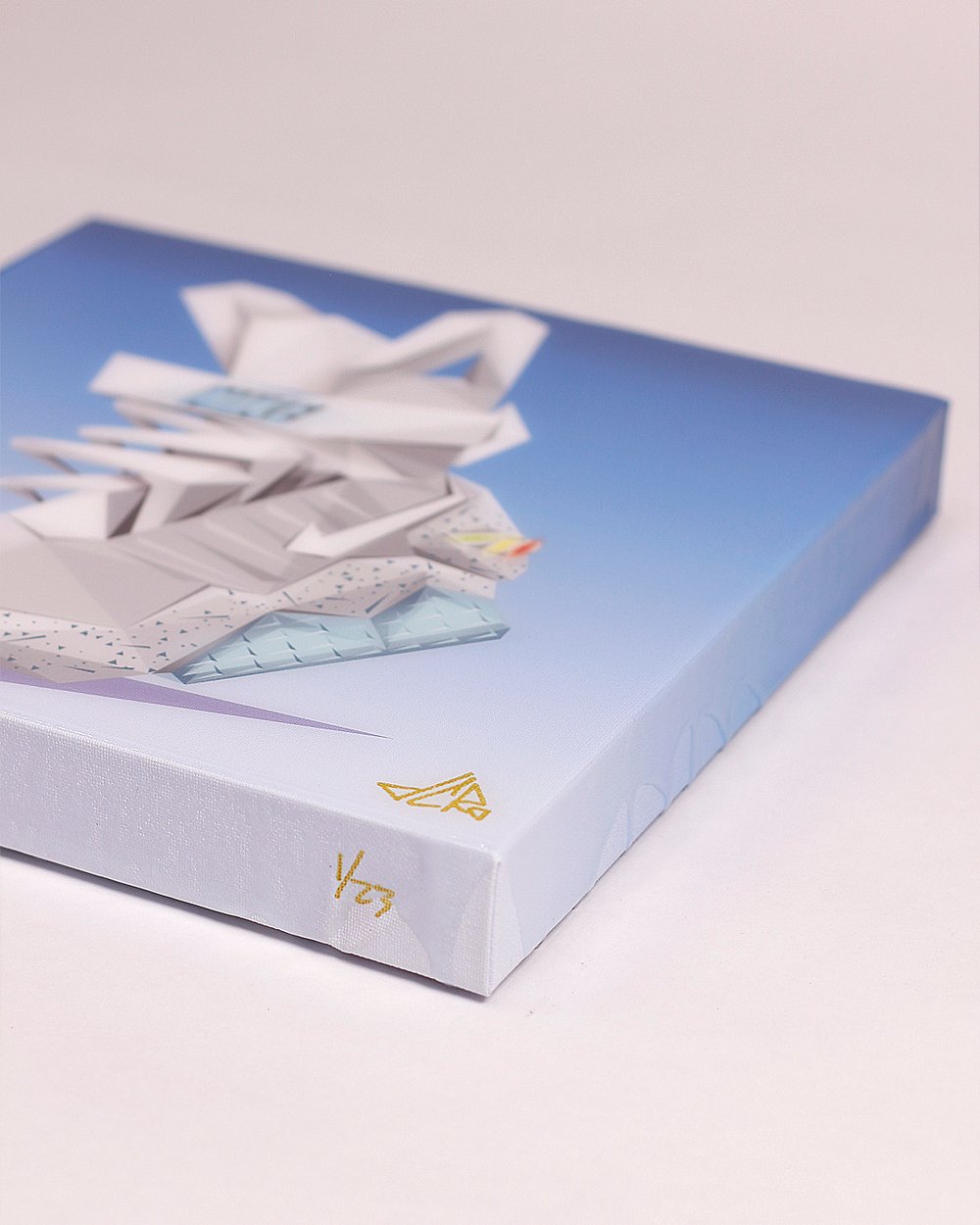 Image of 12 inch "MAG" Canvas Print + Resin